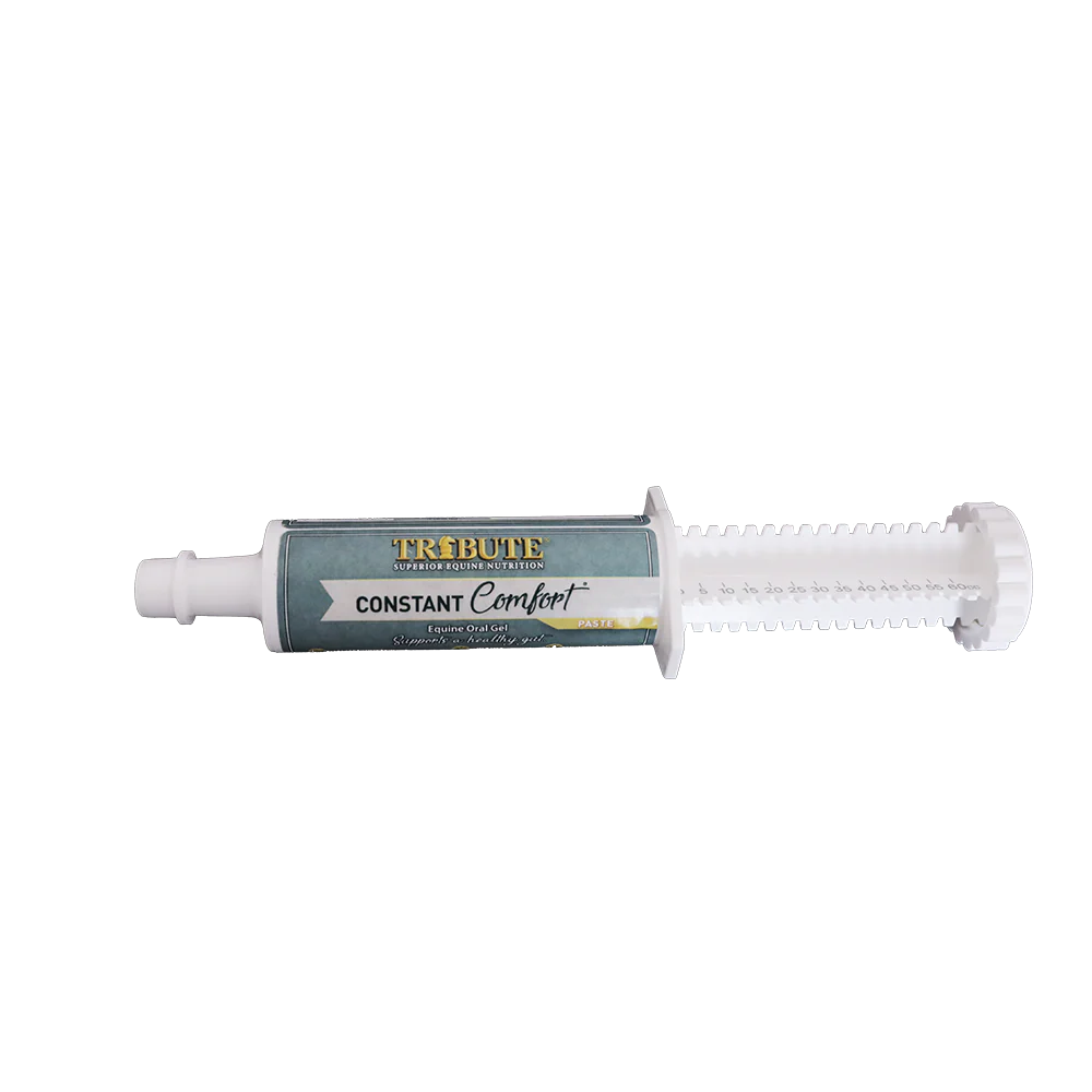 Equine Nutritional Supplements